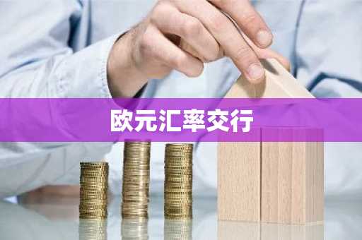 欧元汇率交行
