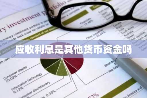 应收利息是其他货币资金吗
