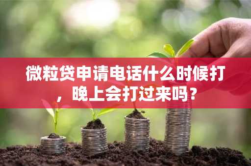微粒贷申请电话什么时候打，晚上会打过来吗？