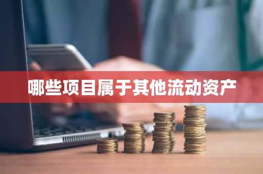 哪些项目属于其他流动资产
