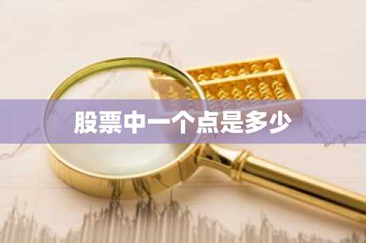 股票中一个点是多少