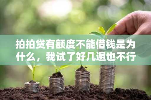 拍拍贷有额度不能借钱是为什么，我试了好几遍也不行