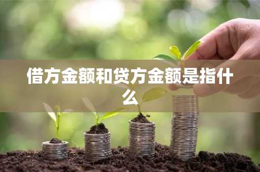 借方金额和贷方金额是指什么