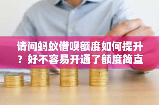 请问蚂蚁借呗额度如何提升？好不容易开通了额度简直少的可怜。