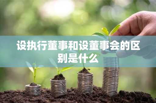 设执行董事和设董事会的区别是什么