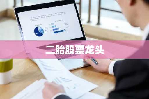 二胎股票龙头