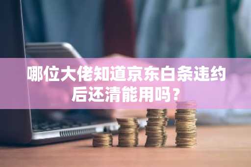 哪位大佬知道京东白条违约后还清能用吗？