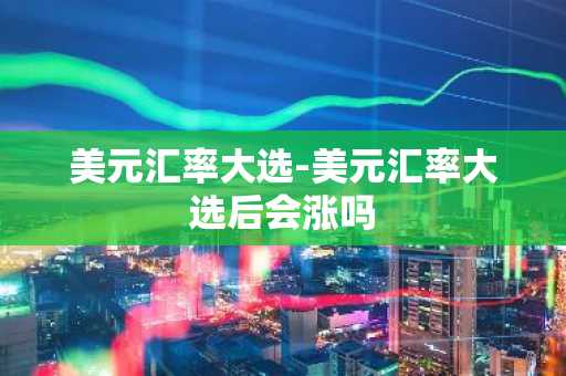 美元汇率大选-美元汇率大选后会涨吗