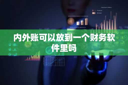 内外账可以放到一个财务软件里吗