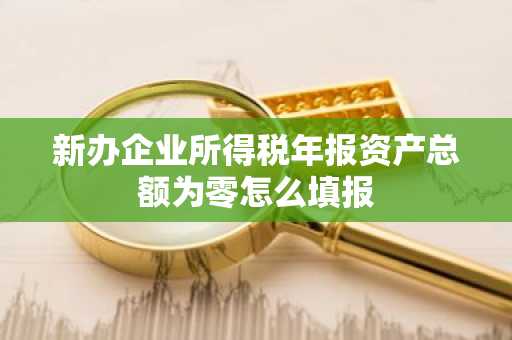 新办企业所得税年报资产总额为零怎么填报