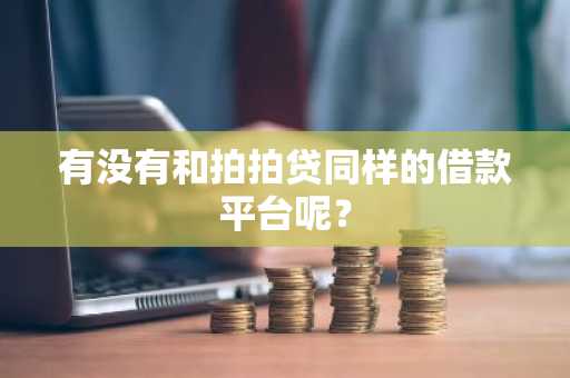 有没有和拍拍贷同样的借款平台呢？