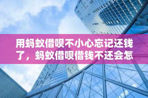 用蚂蚁借呗不小心忘记还钱了，蚂蚁借呗借钱不还会怎样