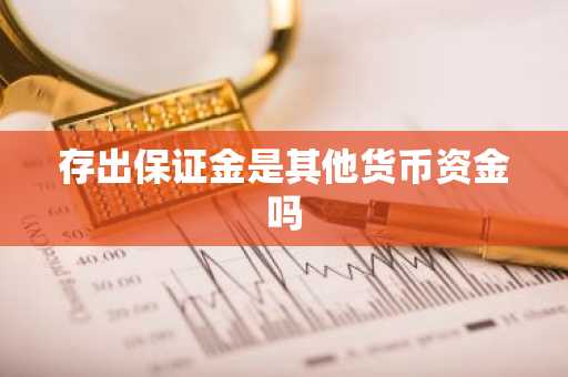 存出保证金是其他货币资金吗