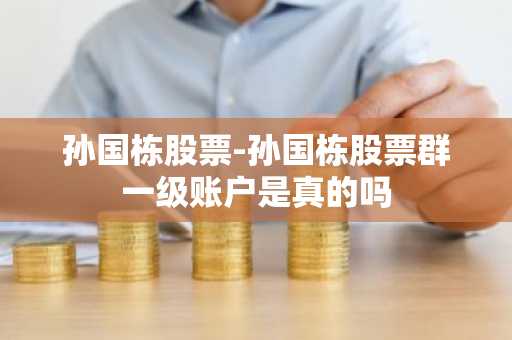 孙国栋股票-孙国栋股票群一级账户是真的吗