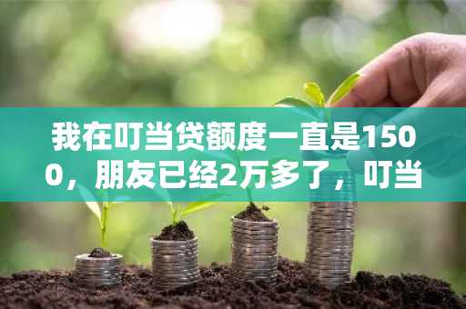 我在叮当贷额度一直是1500，朋友已经2万多了，叮当贷借款如何提升借款额度？