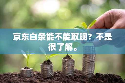 京东白条能不能取现？不是很了解。