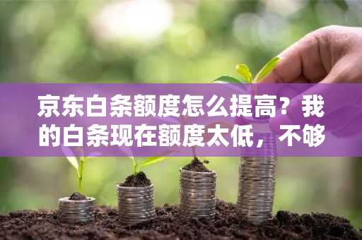 京东白条额度怎么提高？我的白条现在额度太低，不够我买东西用。