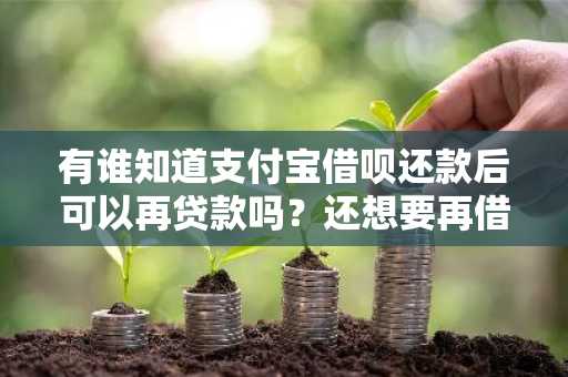 有谁知道支付宝借呗还款后可以再贷款吗？还想要再借不知道可不可以。