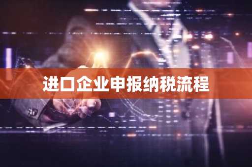 进口企业申报纳税流程