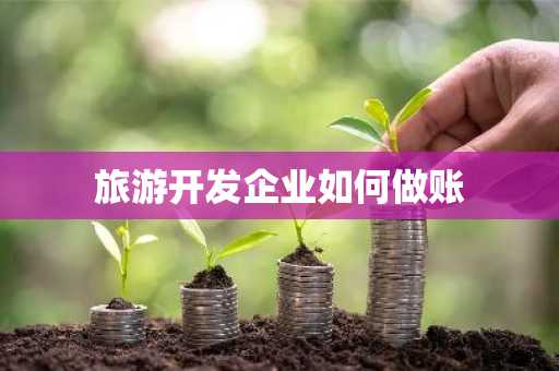 旅游开发企业如何做账