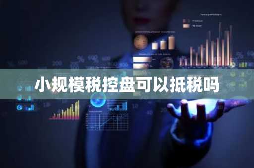 小规模税控盘可以抵税吗