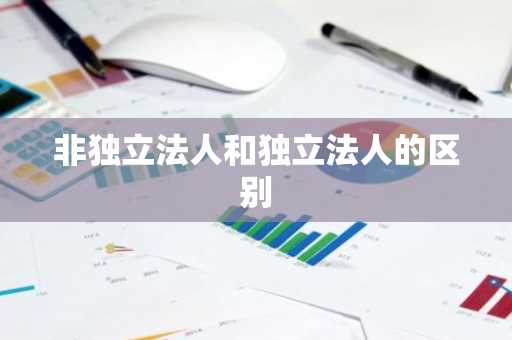 非独立法人和独立法人的区别