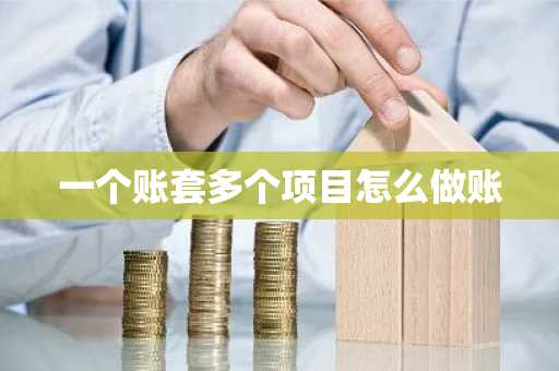 一个账套多个项目怎么做账