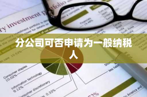 分公司可否申请为一般纳税人