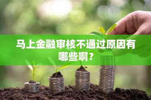 马上金融审核不通过原因有哪些啊？