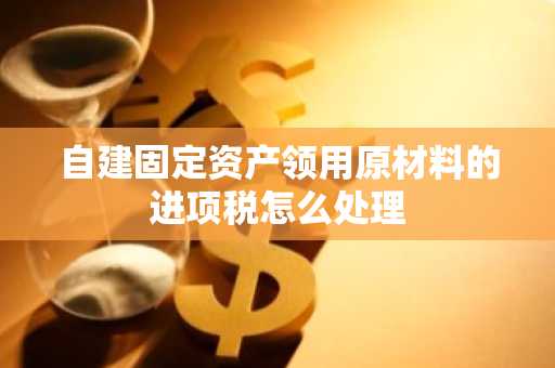 自建固定资产领用原材料的进项税怎么处理