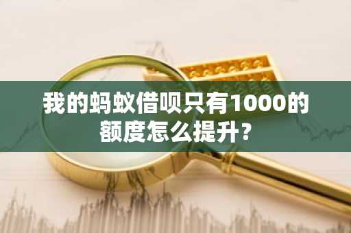 我的蚂蚁借呗只有1000的额度怎么提升？