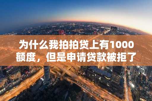 为什么我拍拍贷上有1000额度，但是申请贷款被拒了？