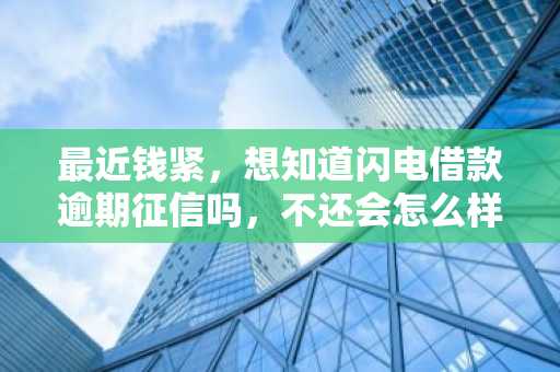 最近钱紧，想知道闪电借款逾期征信吗，不还会怎么样？