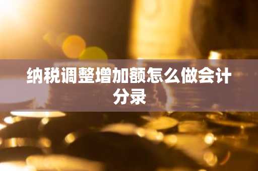纳税调整增加额怎么做会计分录
