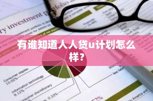 有谁知道人人贷u计划怎么样？