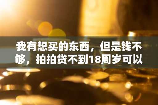 我有想买的东西，但是钱不够，拍拍贷不到18周岁可以贷款吗？