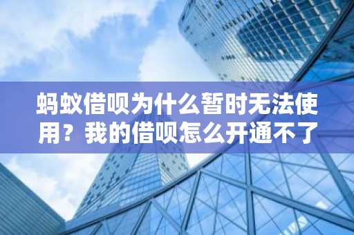 蚂蚁借呗为什么暂时无法使用？我的借呗怎么开通不了啊，我还想借钱呢。