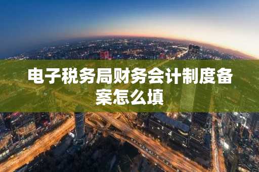 电子税务局财务会计制度备案怎么填