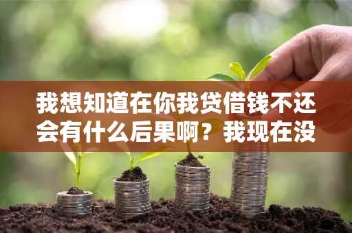 我想知道在你我贷借钱不还会有什么后果啊？我现在没钱可还了。