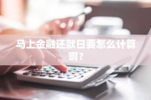 马上金融还款日要怎么计算啊？