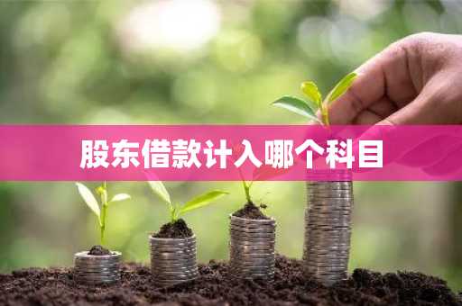 股东借款计入哪个科目