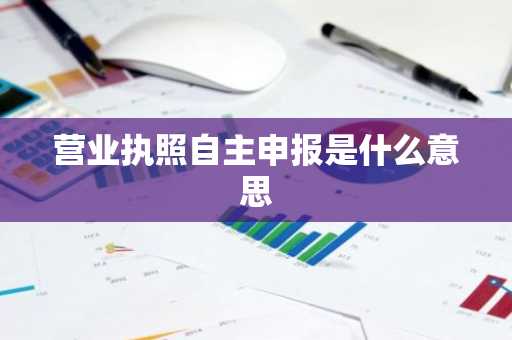 营业执照自主申报是什么意思