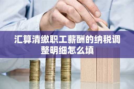 汇算清缴职工薪酬的纳税调整明细怎么填