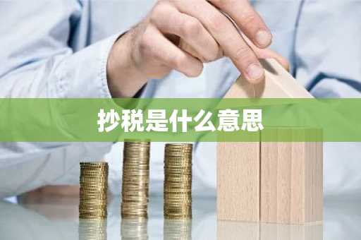 抄税是什么意思
