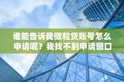 谁能告诉我微粒贷账号怎么申请呢？我找不到申请窗口。