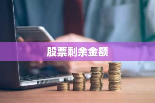 股票剩余金额