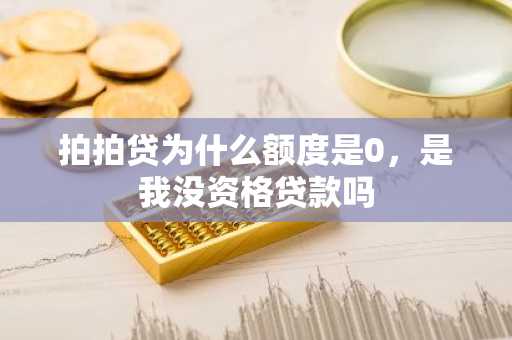 拍拍贷为什么额度是0，是我没资格贷款吗