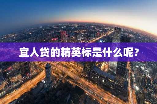 宜人贷的精英标是什么呢？