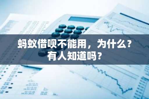 蚂蚁借呗不能用，为什么？有人知道吗？