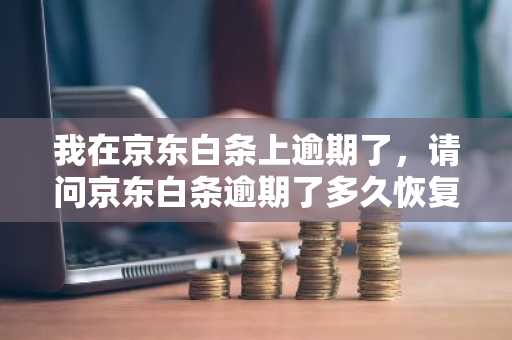 我在京东白条上逾期了，请问京东白条逾期了多久恢复？